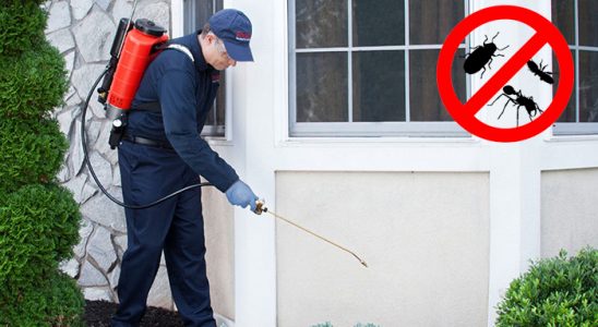 Erdek Hamam Böceği İlaçlama böcek ilaçlama ve haşere kontrolü — ilaclama-tr.com